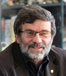 Prof. Cristian Silvestru